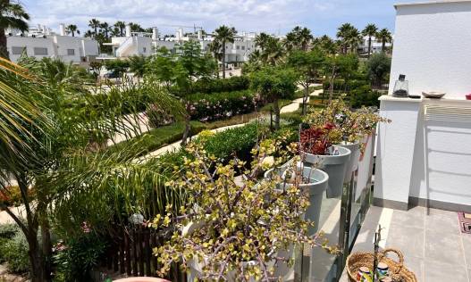 Bestaand - Appartement - Vistabella Golf - Entre Naranjos Vistabella Golf