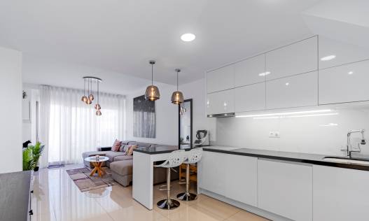 Bestaand - Penthouse - Pilar de la Horadada - Mil palmeras
