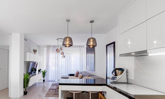 Bestaand - Penthouse - Pilar de la Horadada - Mil palmeras