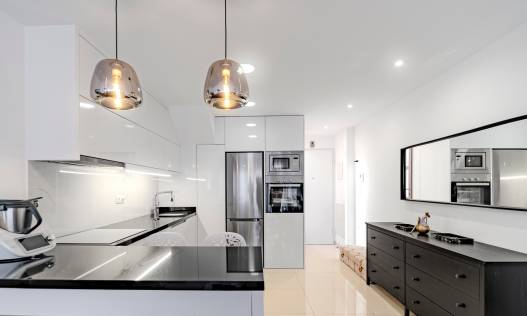 Bestaand - Penthouse - Pilar de la Horadada - Mil palmeras