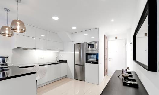 Bestaand - Penthouse - Pilar de la Horadada - Mil palmeras
