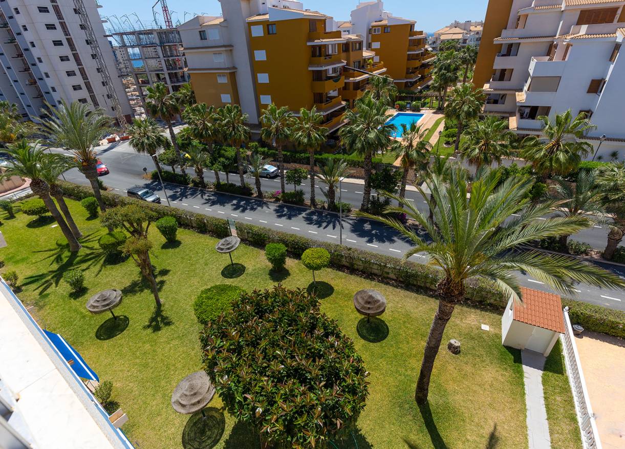 Bestaand - Appartement - Torrevieja - Rocio del Mar