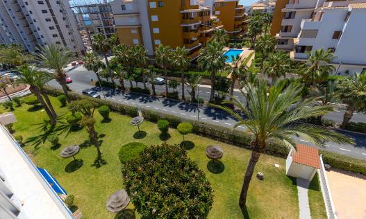 Bestaand - Appartement - Torrevieja - Rocio del Mar