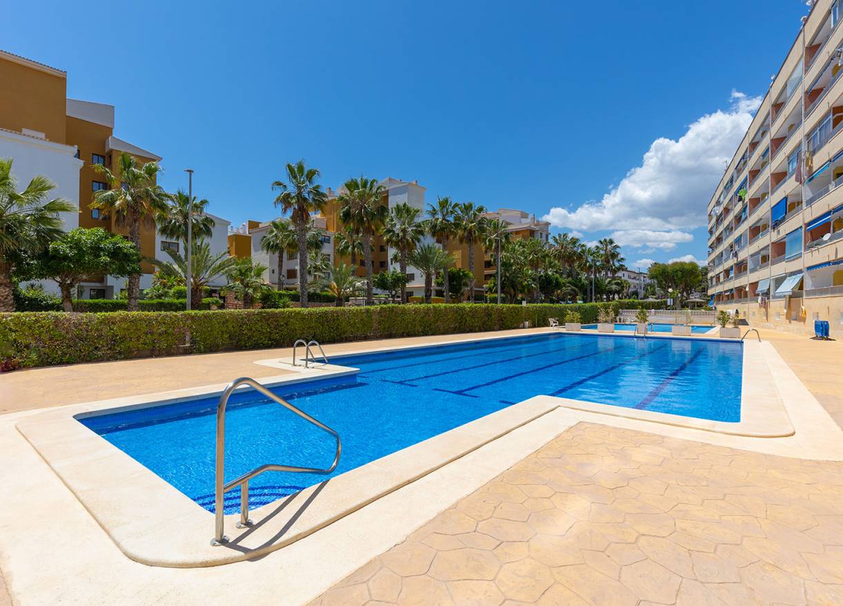 Bestaand - Appartement - Torrevieja - Rocio del Mar