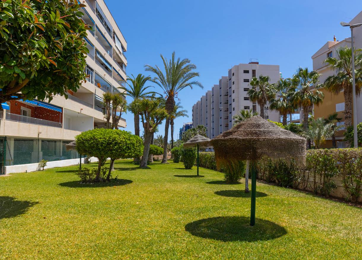Bestaand - Appartement - Torrevieja - Rocio del Mar