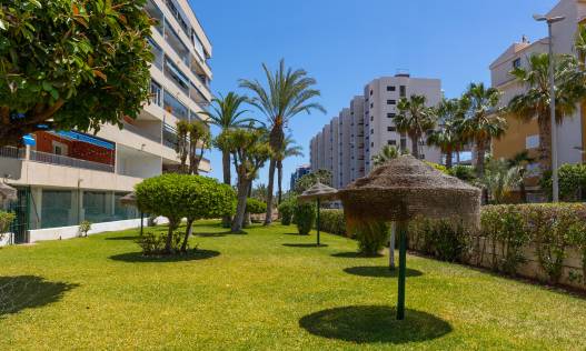 Bestaand - Appartement - Torrevieja - Rocio del Mar