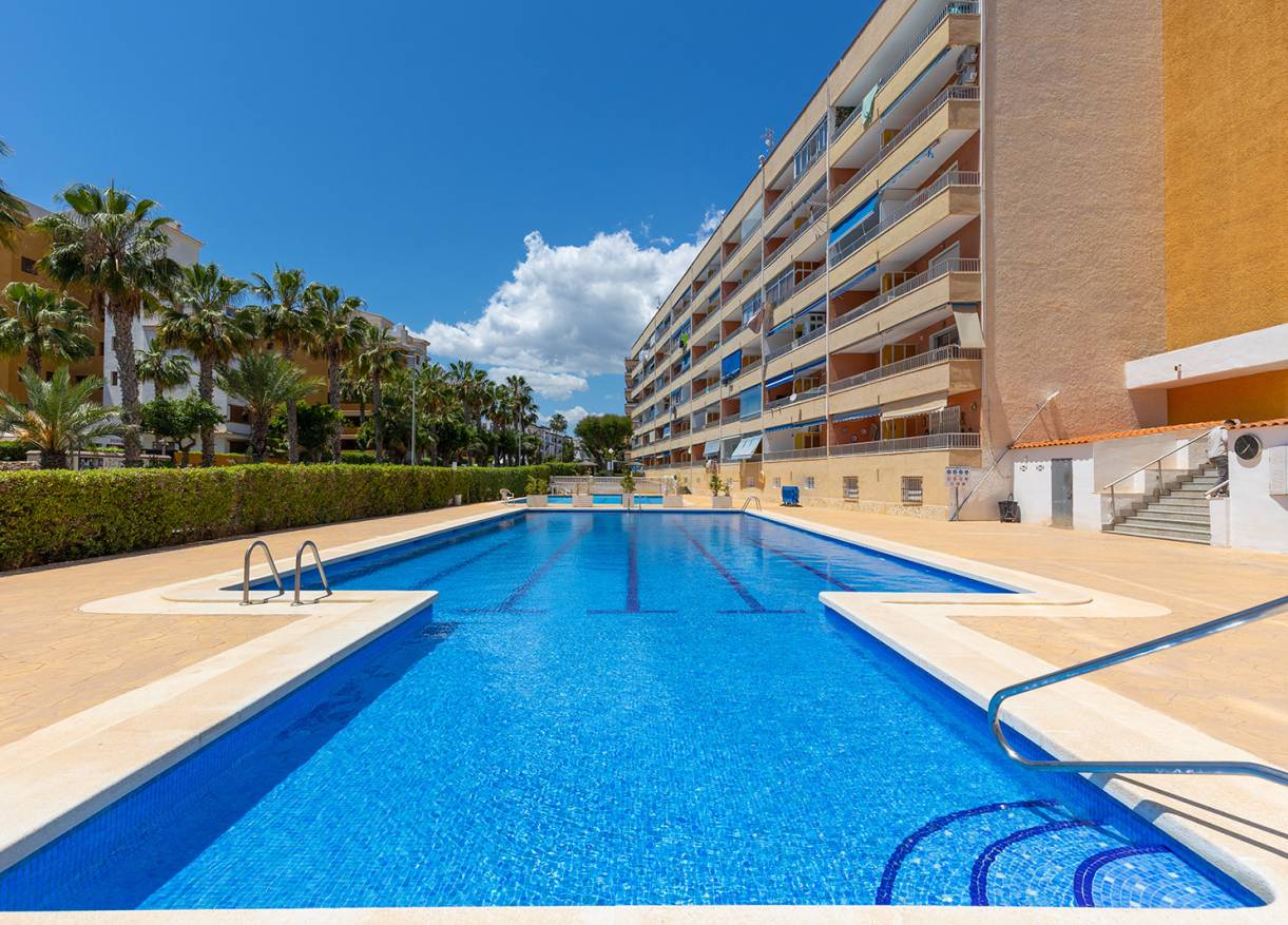 Bestaand - Appartement - Torrevieja - Rocio del Mar