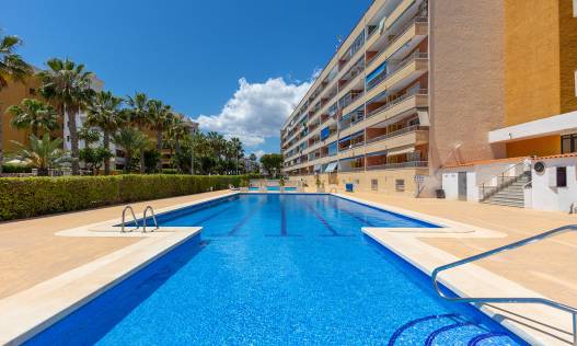 Bestaand - Appartement - Torrevieja - Rocio del Mar