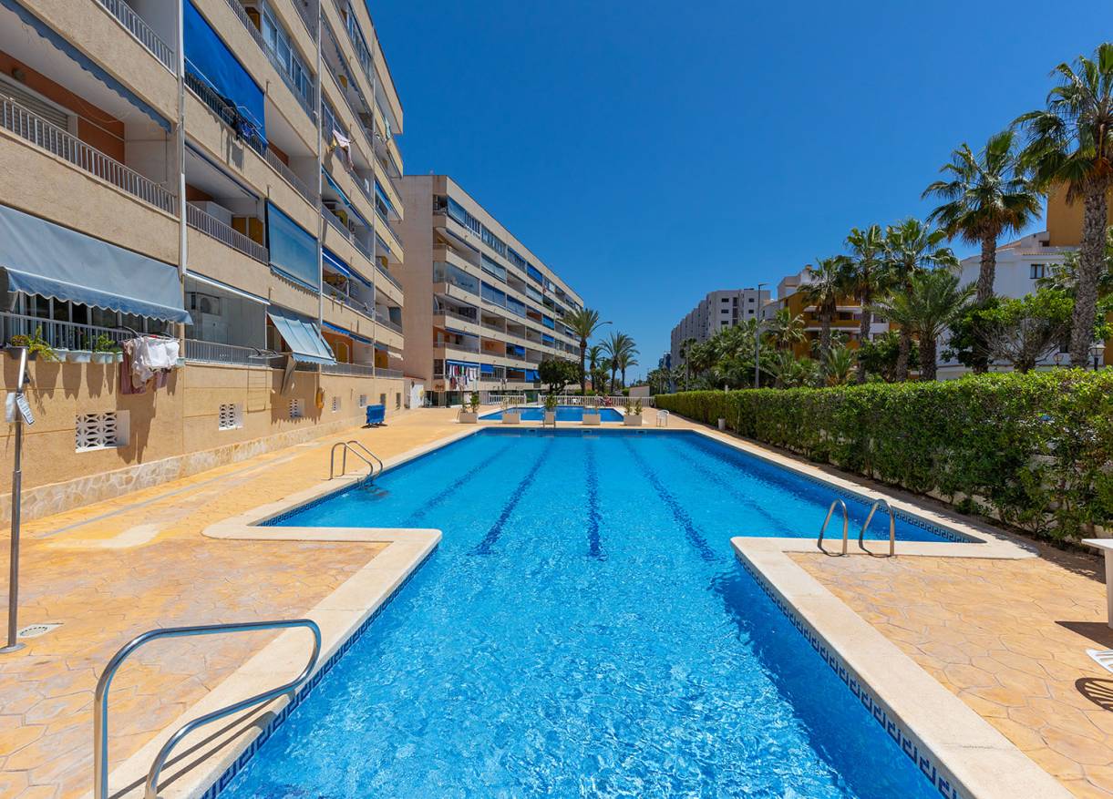 Bestaand - Appartement - Torrevieja - Rocio del Mar