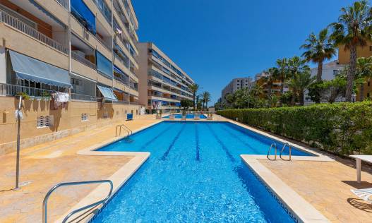 Bestaand - Appartement - Torrevieja - Rocio del Mar