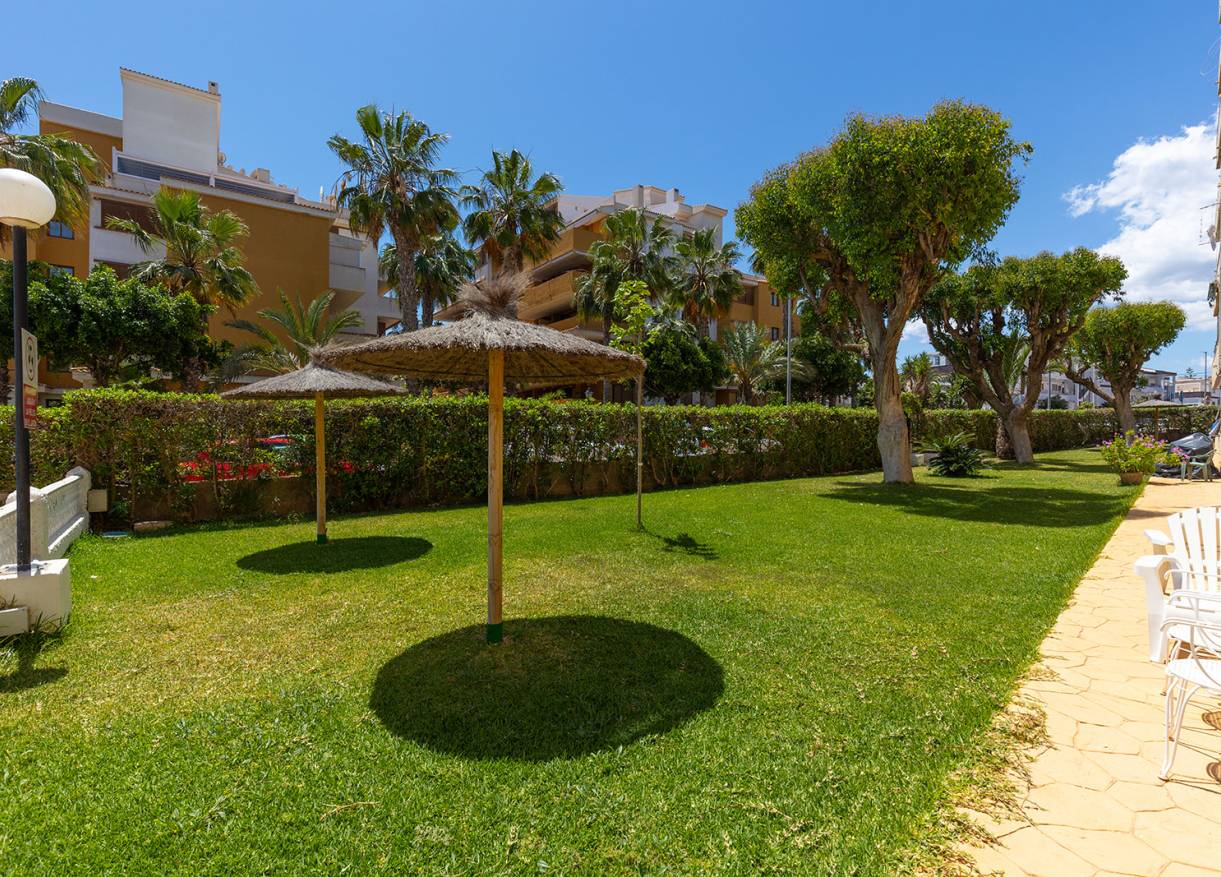 Bestaand - Appartement - Torrevieja - Rocio del Mar