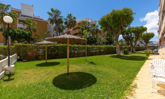 Bestaand - Appartement - Torrevieja - Rocio del Mar