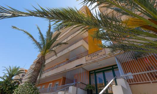 Bestaand - Appartement - Torrevieja - Rocio del Mar