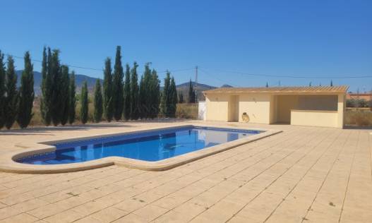 Bestaand - Villa - Hondón de las Nieves - Hondón de las Nieves / el Fondó de les Neus