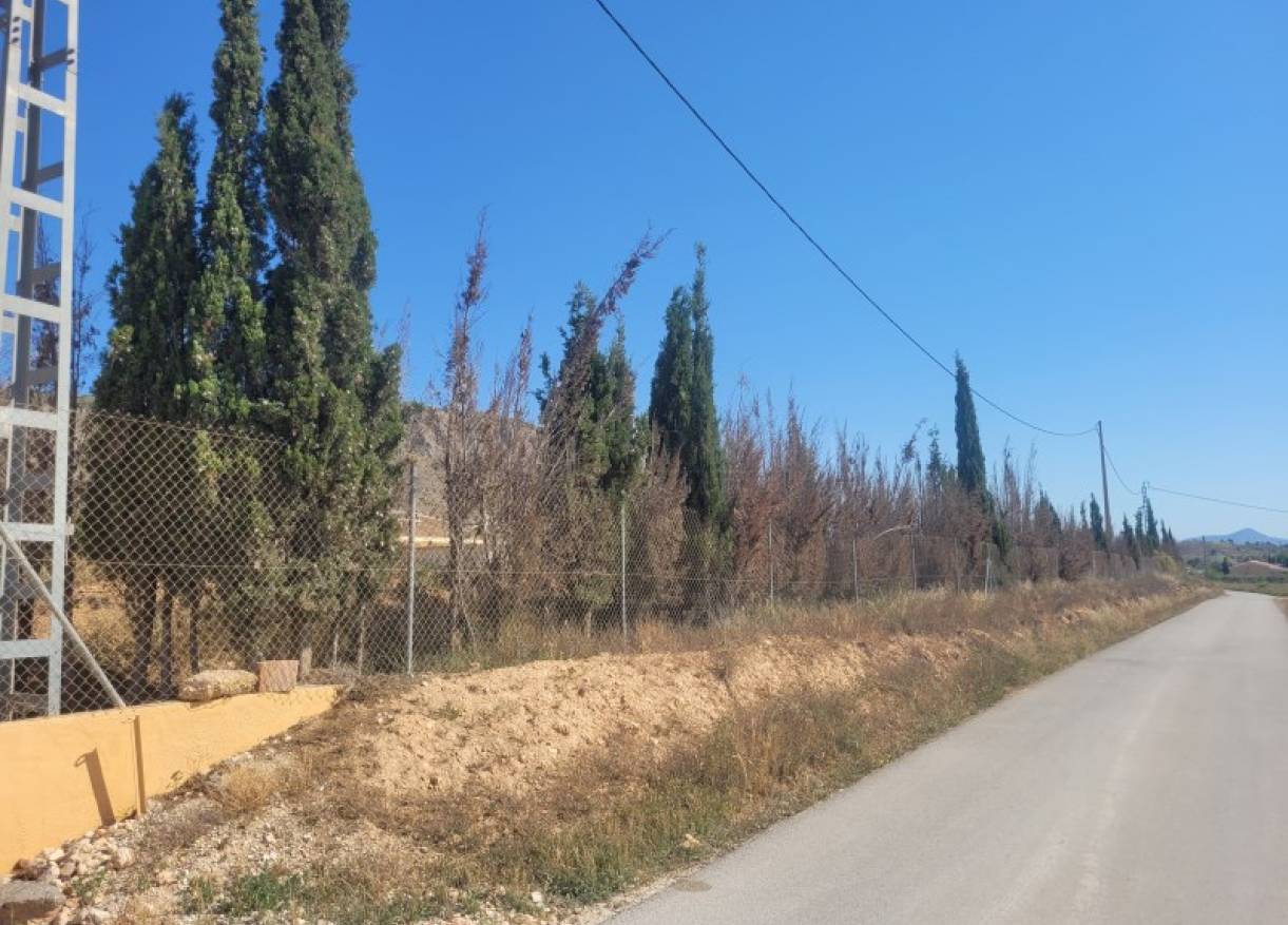 Bestaand - Villa - Hondón de las Nieves - Hondón de las Nieves / el Fondó de les Neus