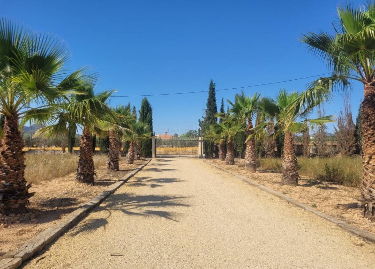 Bestaand - Villa - Hondón de las Nieves - Hondón de las Nieves / el Fondó de les Neus