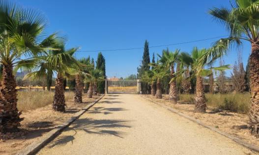 Bestaand - Villa - Hondón de las Nieves - Hondón de las Nieves / el Fondó de les Neus