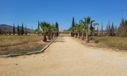 Bestaand - Villa - Hondón de las Nieves - Hondón de las Nieves / el Fondó de les Neus