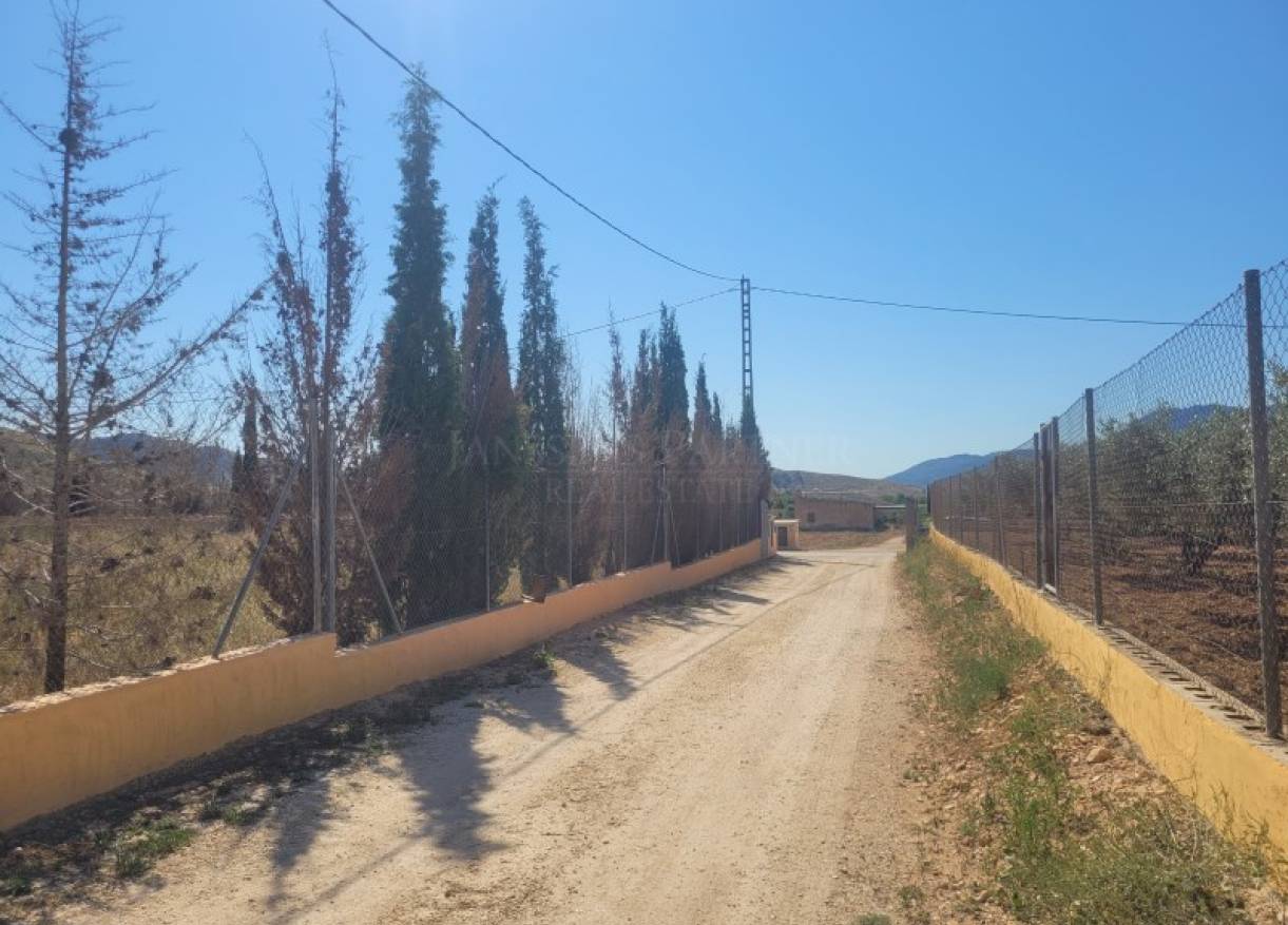 Bestaand - Villa - Hondón de las Nieves - Hondón de las Nieves / el Fondó de les Neus