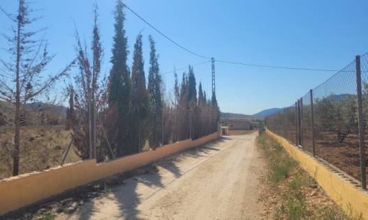 Bestaand - Villa - Hondón de las Nieves - Hondón de las Nieves / el Fondó de les Neus
