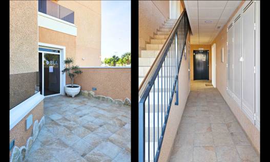 Bestaand - Appartement - El Raso