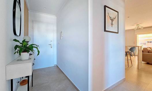 Bestaand - Appartement - El Raso