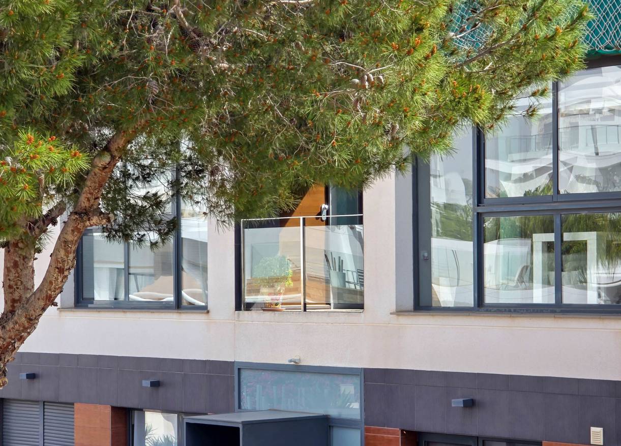 Bestaand - Appartement - Orihuela Costa