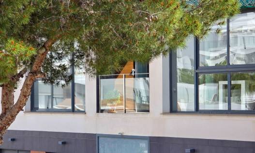 Bestaand - Appartement - Orihuela Costa