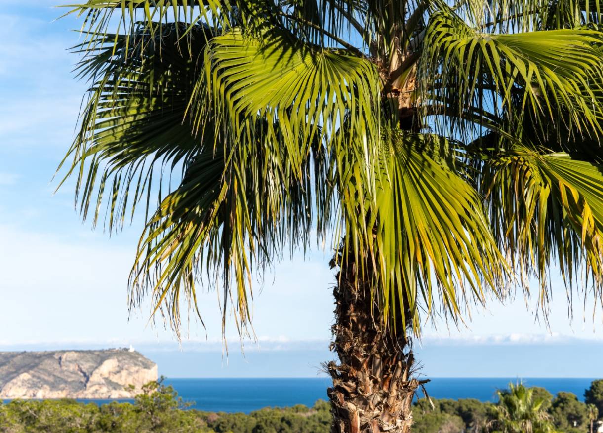 Bestaand - Villa - Jávea