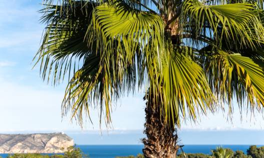 Bestaand - Villa - Jávea