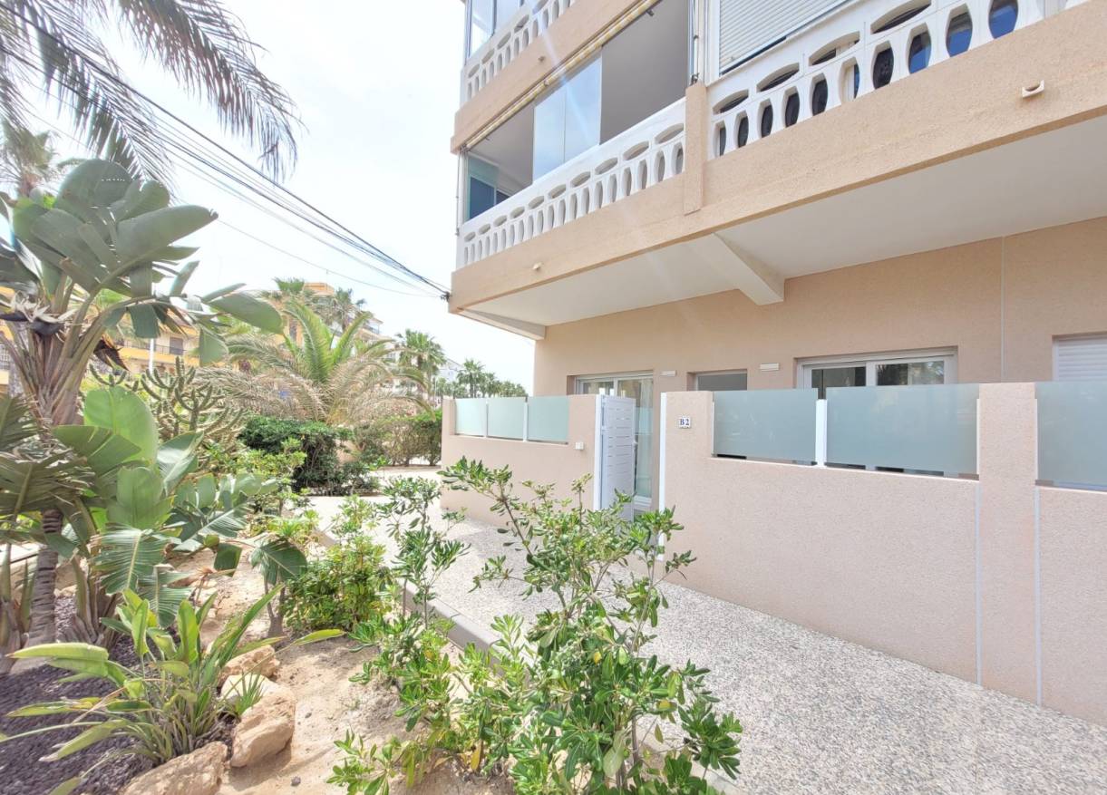 Vakantie verhuur - Appartement - La Mata