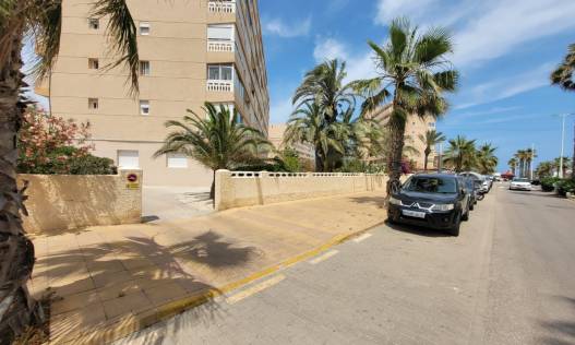 Vakantie verhuur - Appartement - La Mata