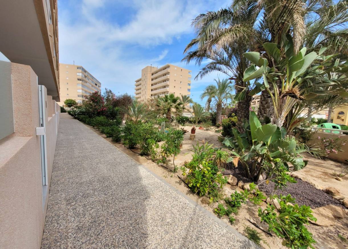 Vakantie verhuur - Appartement - La Mata