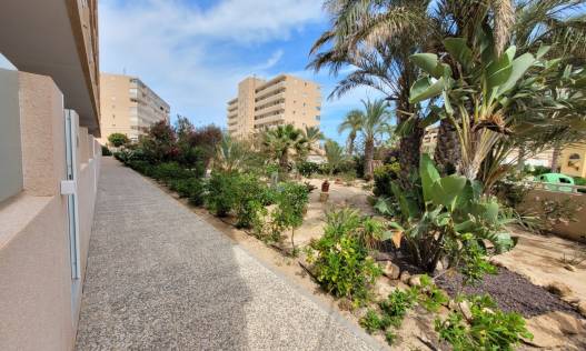 Vakantie verhuur - Appartement - La Mata