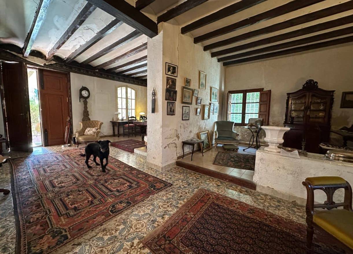 Bestaand - Finca - Denia