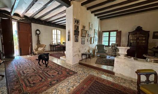 Bestaand - Finca - Denia