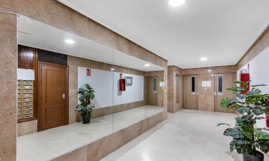 Bestaand - Appartement - Torrevieja - Playa del cura