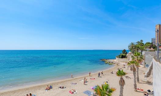Bestaand - Appartement - Alicante