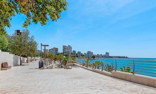 Bestaand - Appartement - Alicante