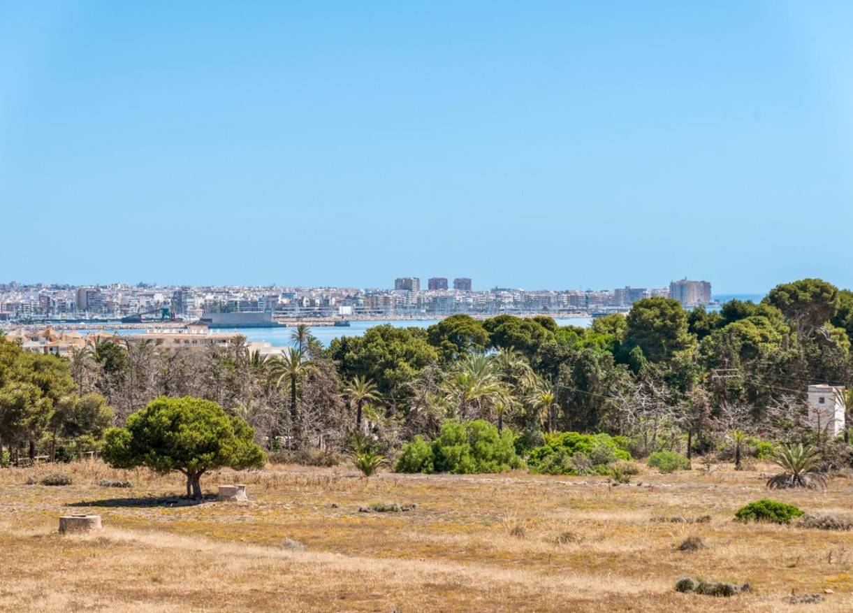 Bestaand - Appartement - Torrevieja