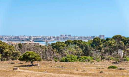 Bestaand - Appartement - Torrevieja