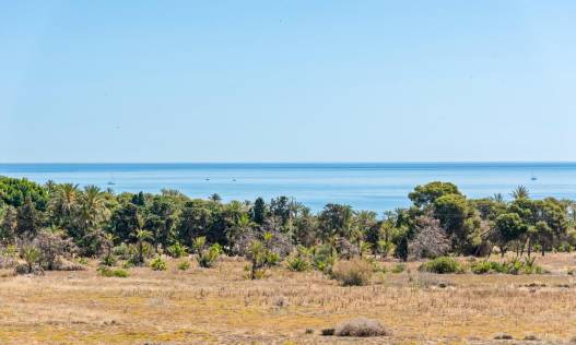Bestaand - Appartement - Torrevieja