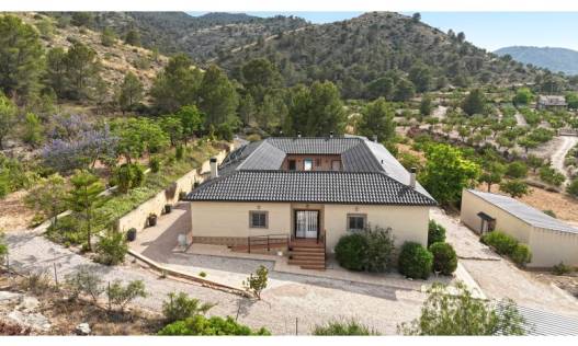 Bestaand - Villa - Hondón de las Nieves - Hondón de las Nieves / el Fondó de les Neus