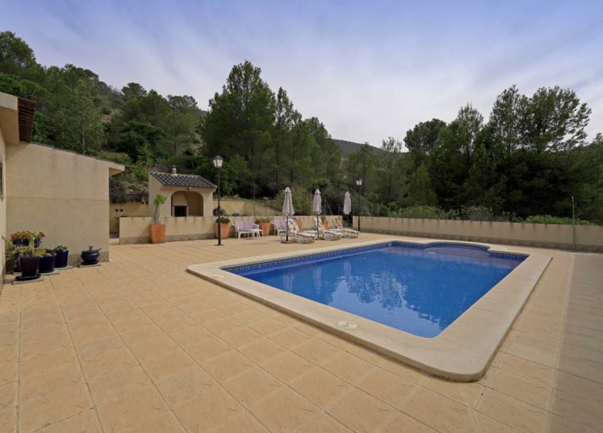 Bestaand - Villa - Hondón de las Nieves - Hondón de las Nieves / el Fondó de les Neus