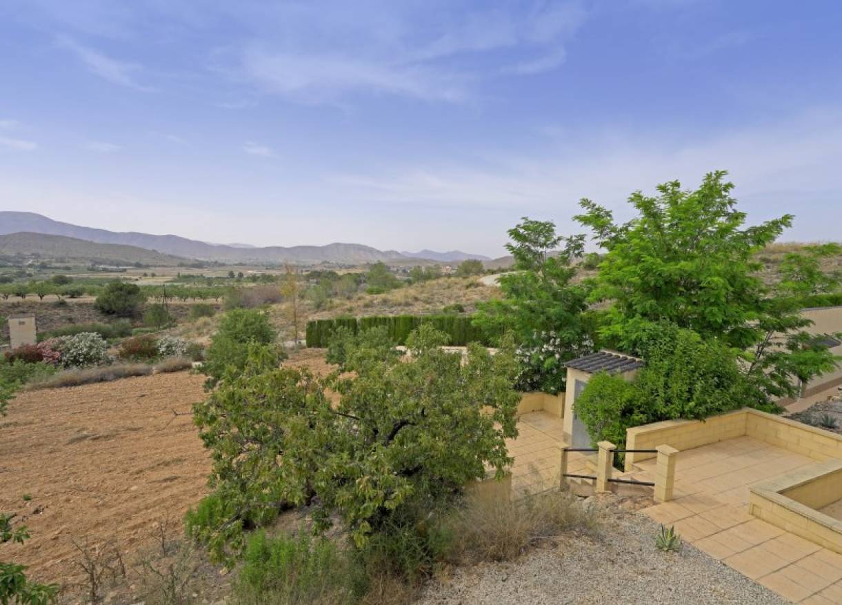 Bestaand - Villa - Hondón de las Nieves - Hondón de las Nieves / el Fondó de les Neus