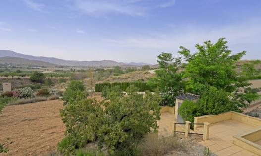 Bestaand - Villa - Hondón de las Nieves - Hondón de las Nieves / el Fondó de les Neus