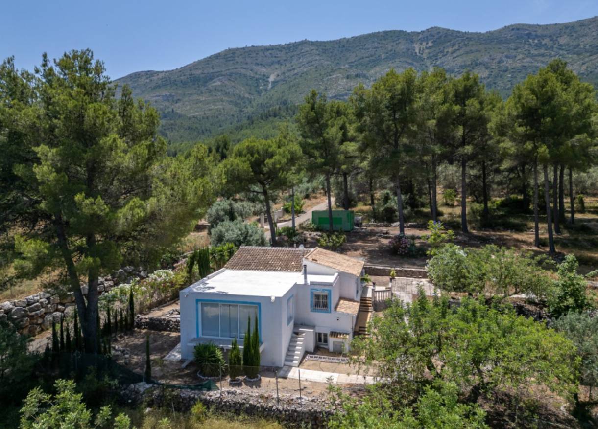 Bestaand - Finca - Jalón Valley - Jalón Vallei