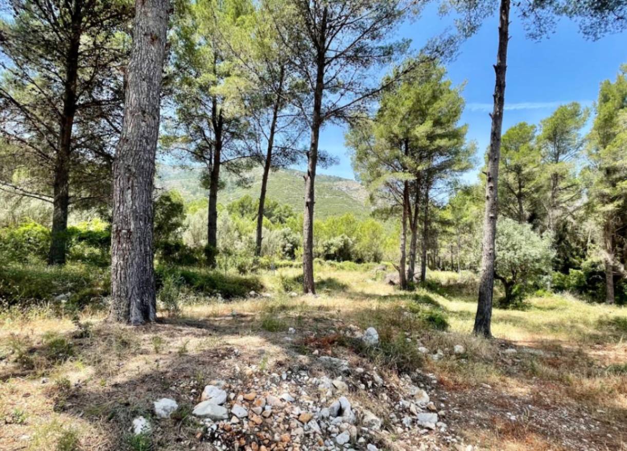 Bestaand - Finca - Jalón Valley - Jalón Vallei