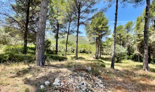 Bestaand - Finca - Jalón Valley - Jalón Vallei