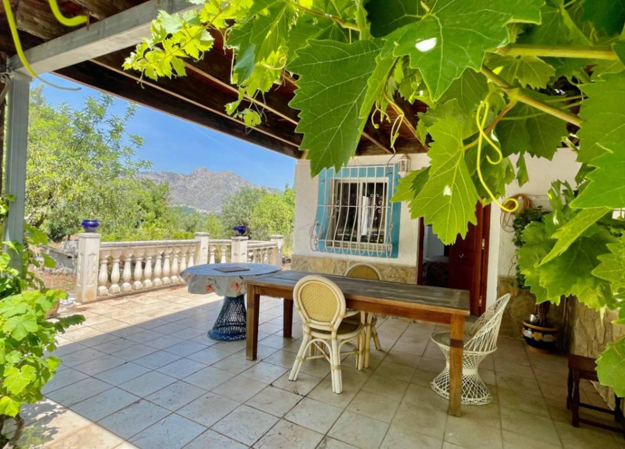 Bestaand - Finca - Jalón Valley - Jalón Vallei